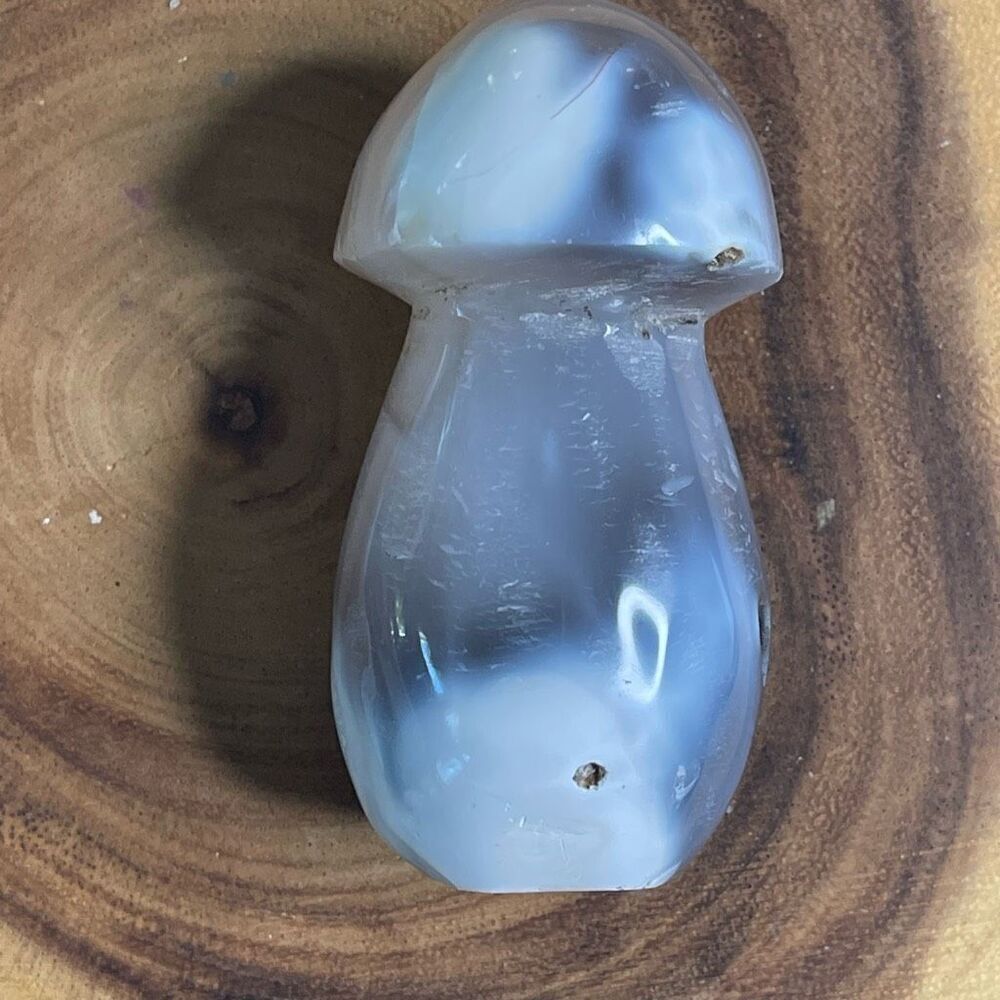 Orca agate mushroom carving crystal druzy black white grey gray cream